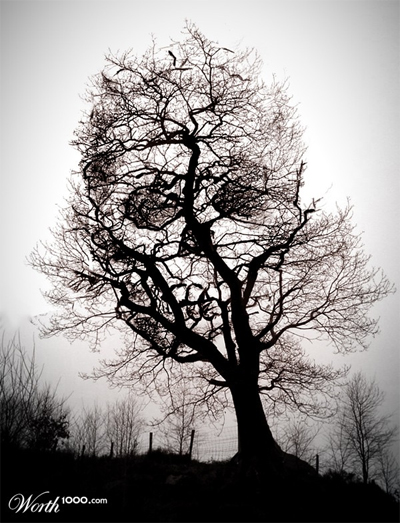 TreeOfDeath